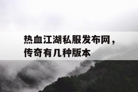 热血江湖私服发布网，传奇有几种版本