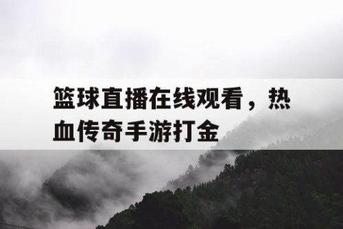 篮球直播在线观看，热血传奇手游打金