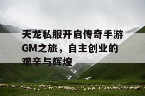 天龙私服开启传奇手游GM之旅，自主创业的艰辛与辉煌