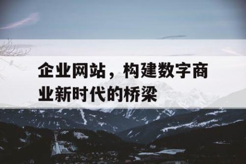企业网站，构建数字商业新时代的桥梁