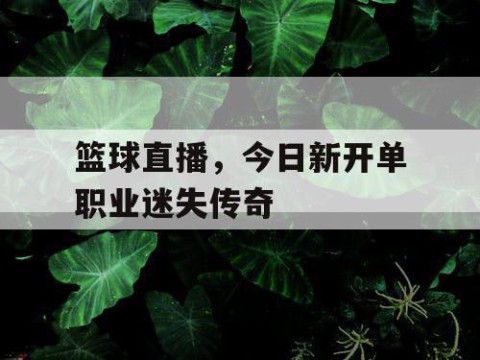篮球直播,今日新开单职业迷失传奇
