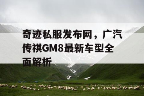 奇迹私服发布网，广汽传祺GM8最新车型全面解析