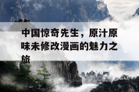中国惊奇先生，原汁原味未修改漫画的魅力之旅