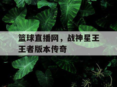 篮球直播网，战神星王王者版本传奇