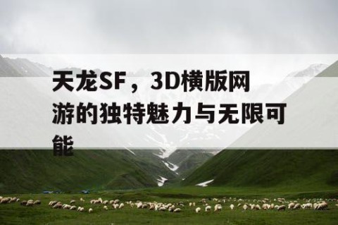 天龙SF，3D横版网游的独特魅力与无限可能