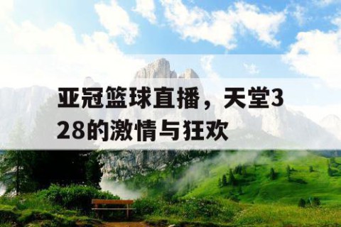 亚冠篮球直播，天堂328的激情与狂欢