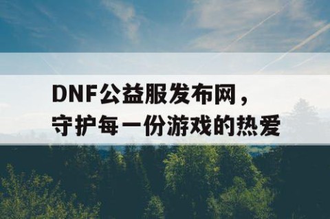 DNF公益服发布网，守护每一份游戏的热爱