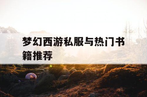 梦幻西游私服与热门书籍推荐