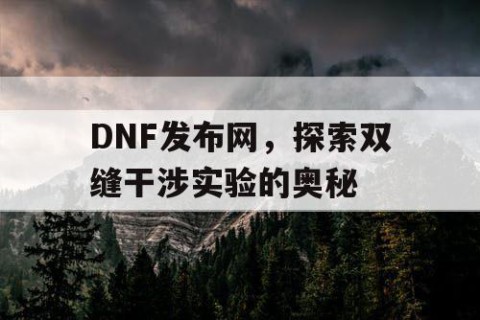 DNF发布网，探索双缝干涉实验的奥秘