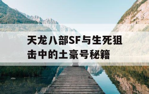 天龙八部SF与生死狙击中的土豪号秘籍