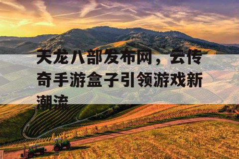 天龙八部发布网，云传奇手游盒子引领游戏新潮流