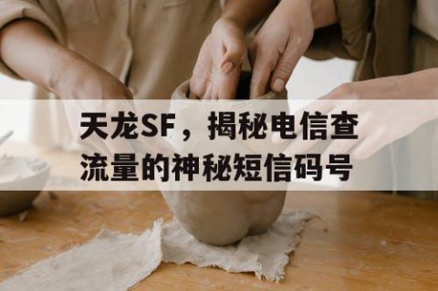 天龙SF，揭秘电信查流量的神秘短信码号