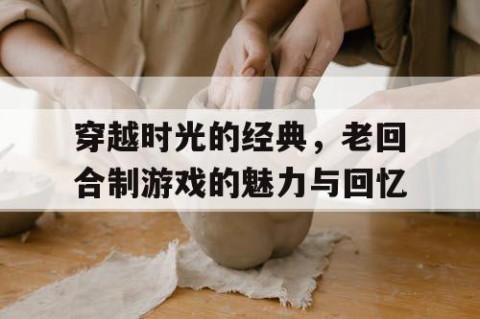 穿越时光的经典，老回合制游戏的魅力与回忆