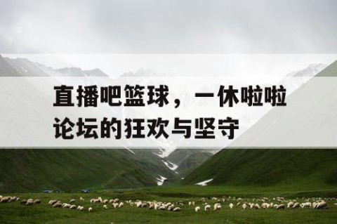 直播吧篮球，一休啦啦论坛的狂欢与坚守