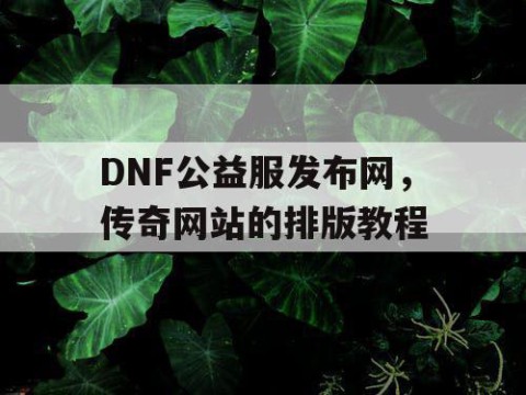 DNF公益服发布网，传奇网站的排版教程
