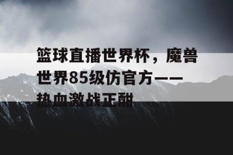 篮球直播世界杯，魔兽世界85级仿官方——热血激战正酣