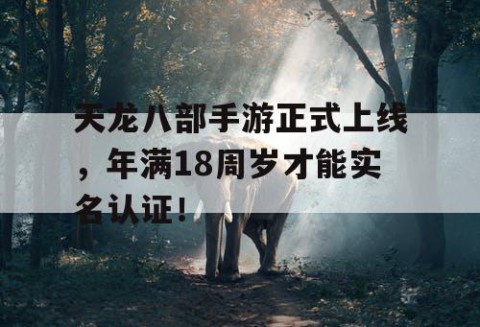 天龙八部手游正式上线，年满18周岁才能实名认证！