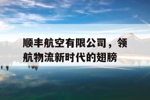 顺丰航空有限公司，领航物流新时代的翅膀