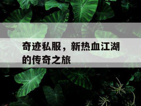 奇迹私服,新热血江湖的传奇之旅