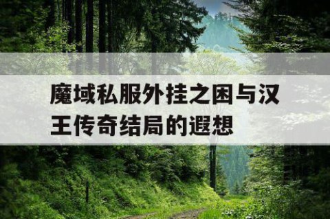 魔域私服外挂之困与汉王传奇结局的遐想