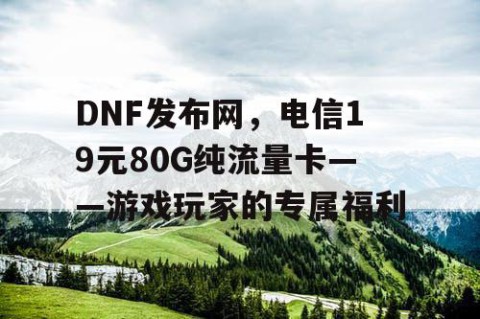 DNF发布网，电信19元80G纯流量卡——游戏玩家的专属福利