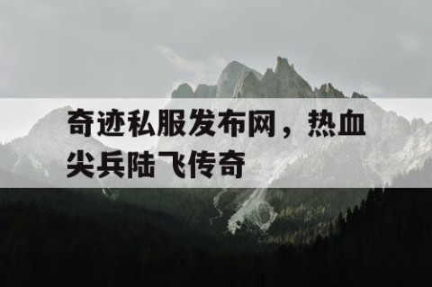 奇迹私服发布网，热血尖兵陆飞传奇