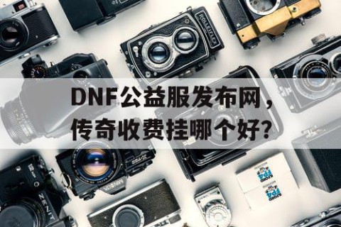 DNF公益服发布网，传奇收费挂哪个好？
