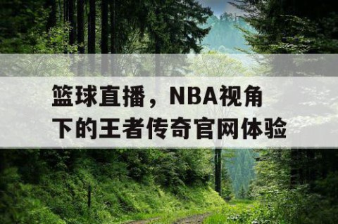 篮球直播，NBA视角下的王者传奇官网体验