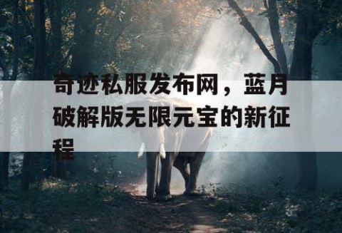 奇迹私服发布网，蓝月破解版无限元宝的新征程