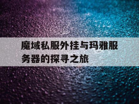 魔域私服外挂与玛雅服务器的探寻之旅