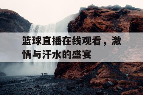 篮球直播在线观看，激情与汗水的盛宴