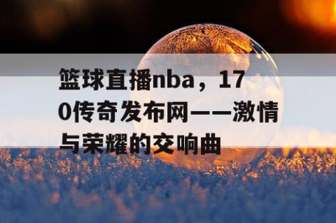篮球直播nba,170传奇发布网——激情与荣耀的交响曲