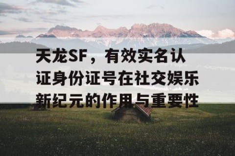 天龙SF，有效实名认证身份证号在社交娱乐新纪元的作用与重要性