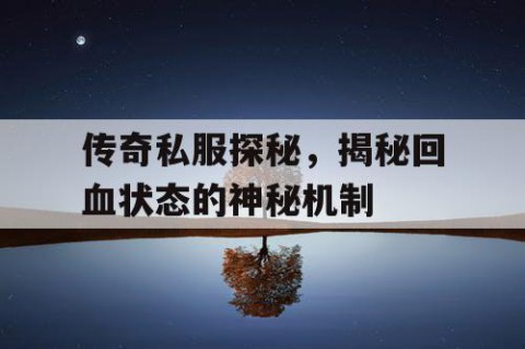 传奇私服探秘，揭秘回血状态的神秘机制