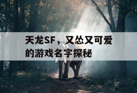 天龙SF，又怂又可爱的游戏名字探秘