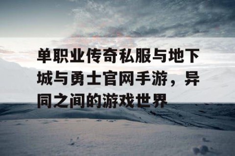 单职业传奇私服与地下城与勇士官网手游，异同之间的游戏世界