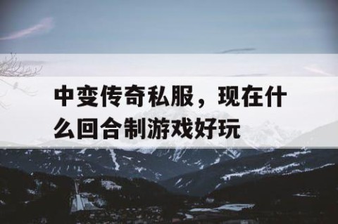 中变传奇私服，现在什么回合制游戏好玩