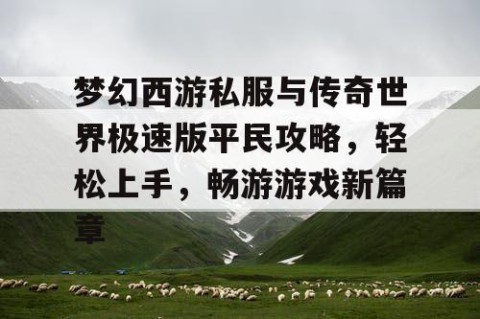 梦幻西游私服与传奇世界极速版平民攻略，轻松上手，畅游游戏新篇章