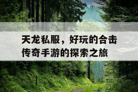 天龙私服，好玩的合击传奇手游的探索之旅