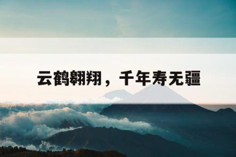 云鹤翱翔，千年寿无疆