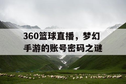 360篮球直播，梦幻手游的账号密码之谜