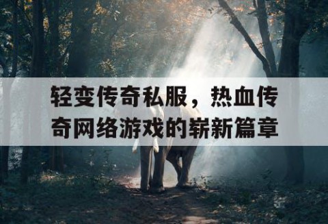 轻变传奇私服，热血传奇网络游戏的崭新篇章