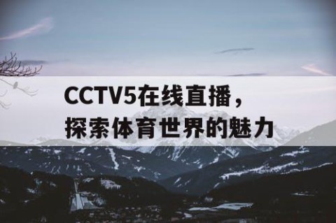 CCTV5在线直播，探索体育世界的魅力