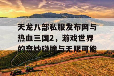 天龙八部私服发布网与热血三国2，游戏世界的奇妙碰撞与无限可能