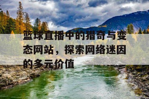 篮球直播中的猎奇与变态网站,探索网络迷因的多元价值