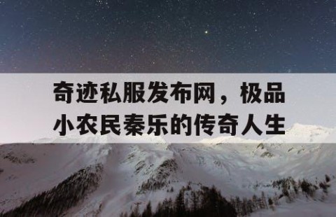 奇迹私服发布网，极品小农民秦乐的传奇人生