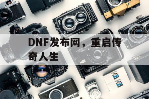 DNF发布网，重启传奇人生