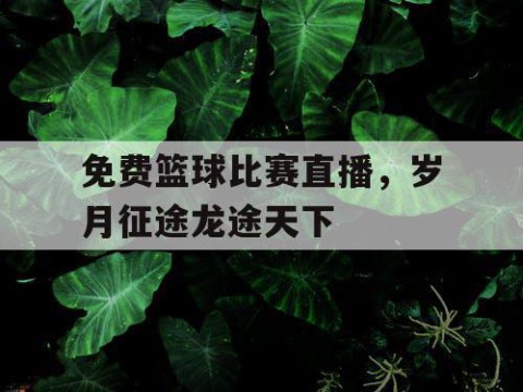 免费篮球比赛直播,岁月征途龙途天下