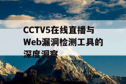 CCTV5在线直播与Web漏洞检测工具的深度洞察
