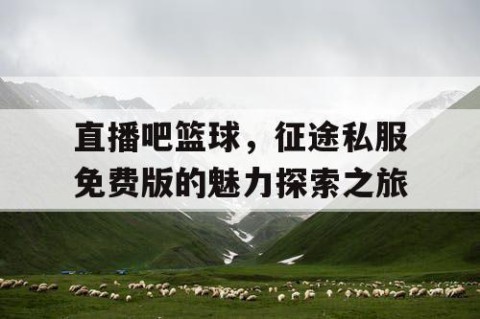 直播吧篮球，征途私服免费版的魅力探索之旅